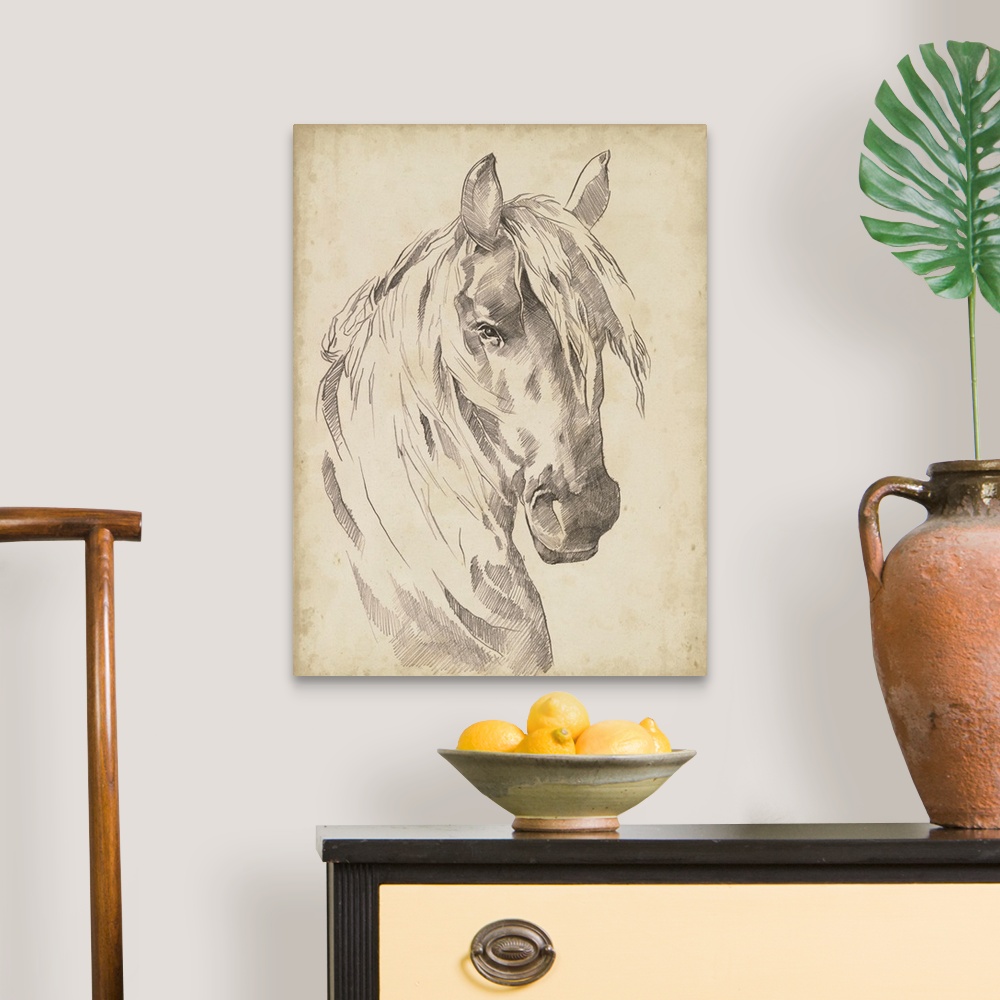 A traditional room featuring Horse Portrait Sketch I