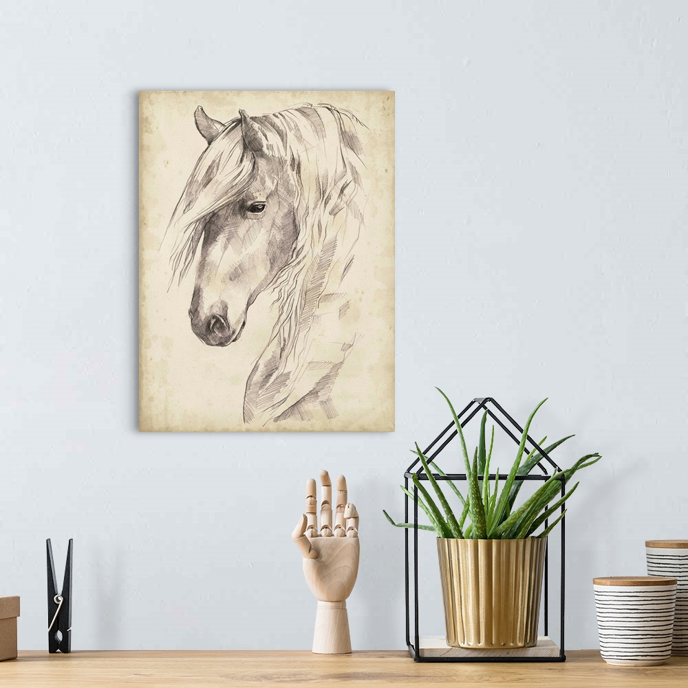 A bohemian room featuring Horse Portrait Sketch II
