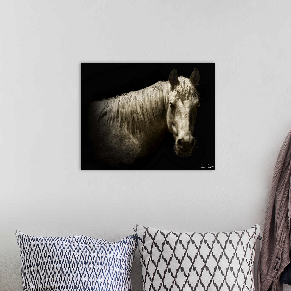 A bohemian room featuring Horse Portrait VI