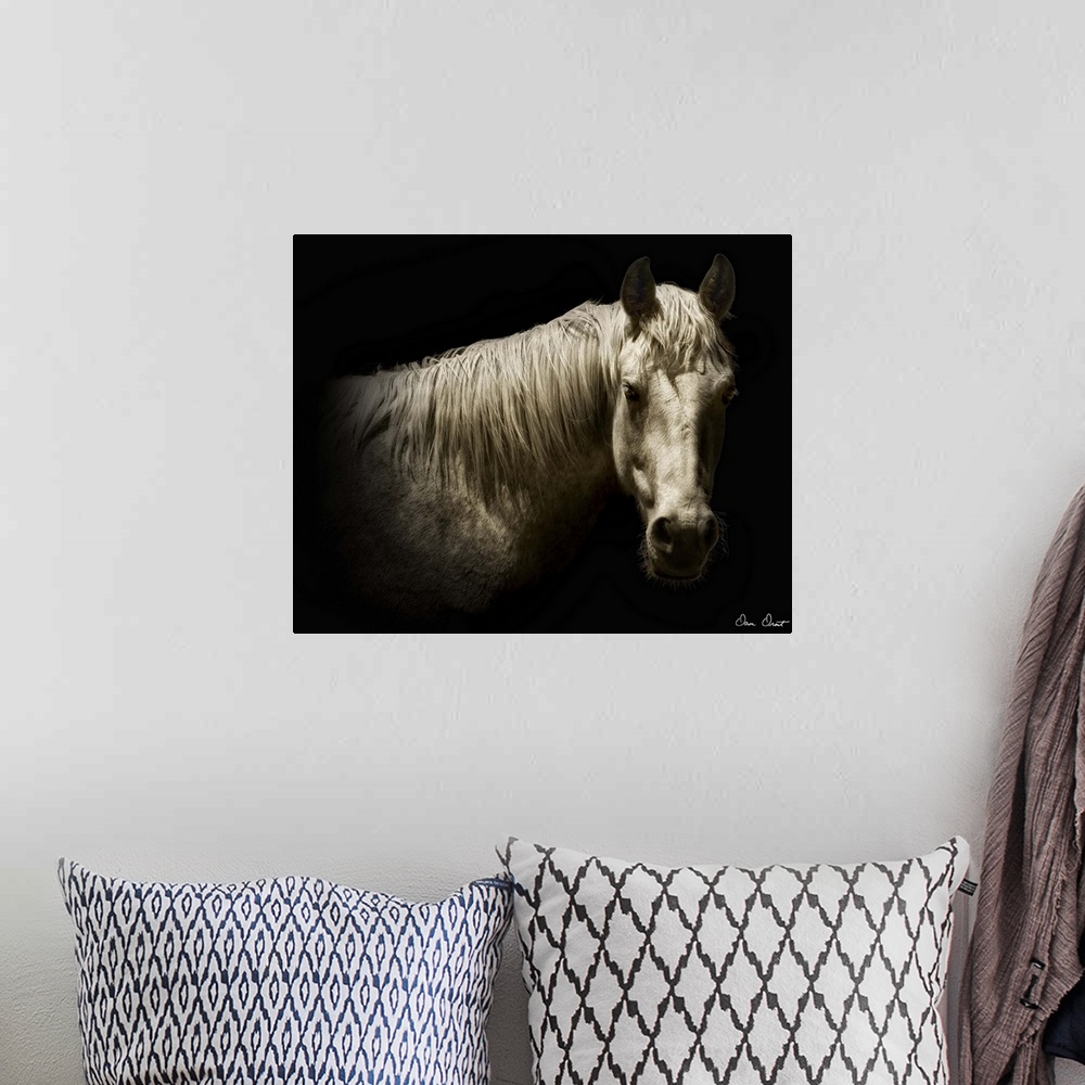 A bohemian room featuring Horse Portrait VI