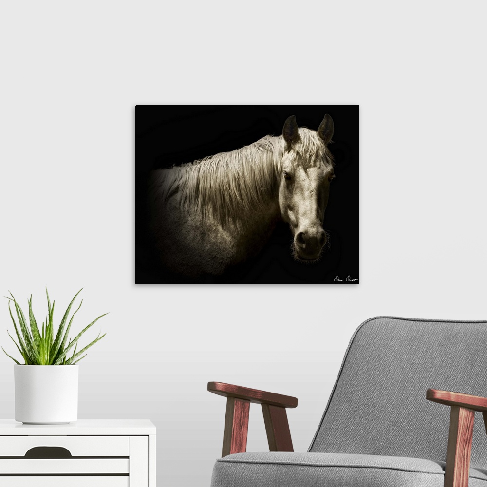 A modern room featuring Horse Portrait VI