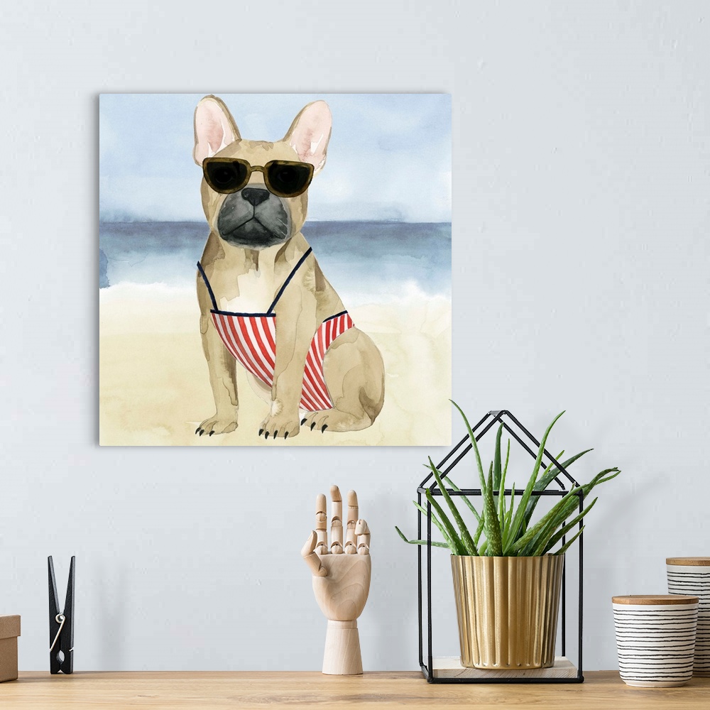 A bohemian room featuring Square watercolor painting of a boxer wearing a bathing suit and sunglasses on a beach.