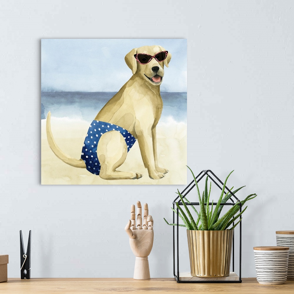 A bohemian room featuring Square watercolor painting of a Labrador wearing a bathing suit and sunglasses on a beach.