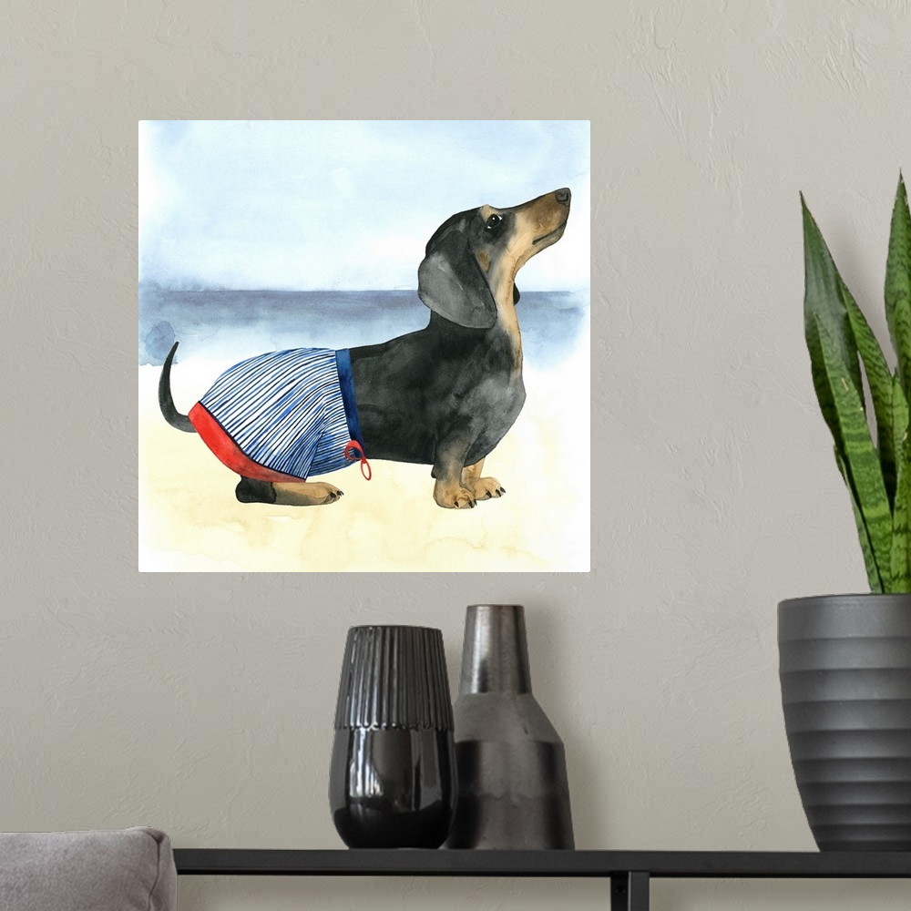 A modern room featuring Square watercolor painting of a Dachshund wearing a bathing suit on the beach.