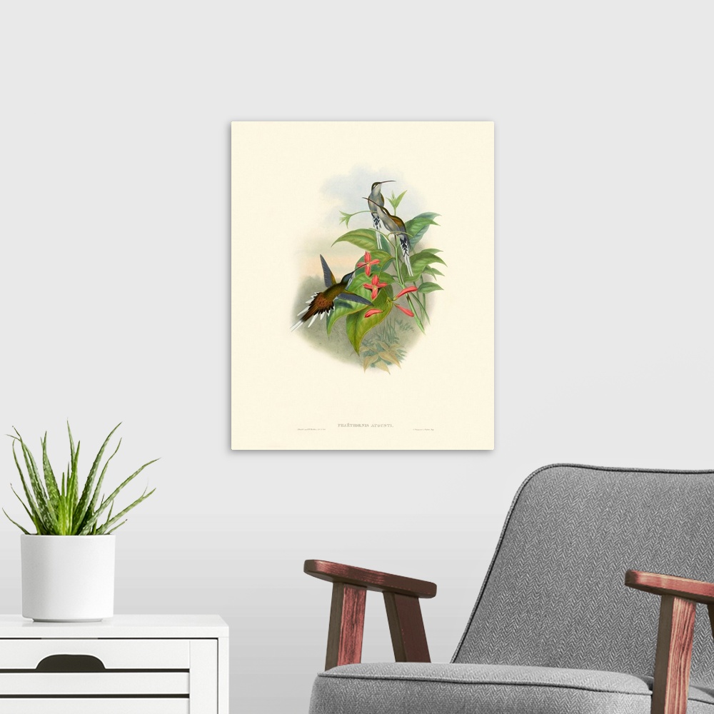 A modern room featuring Hummingbird Delight IV