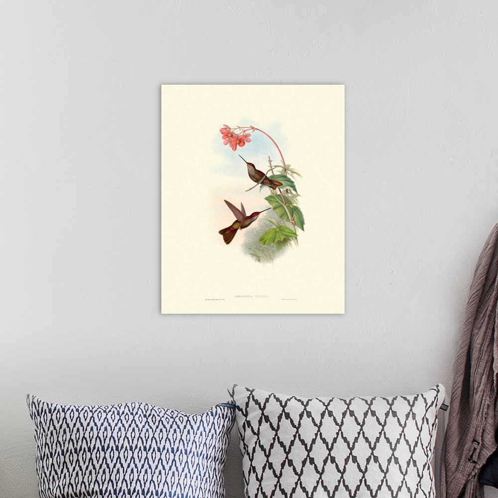 A bohemian room featuring Hummingbird Delight XI