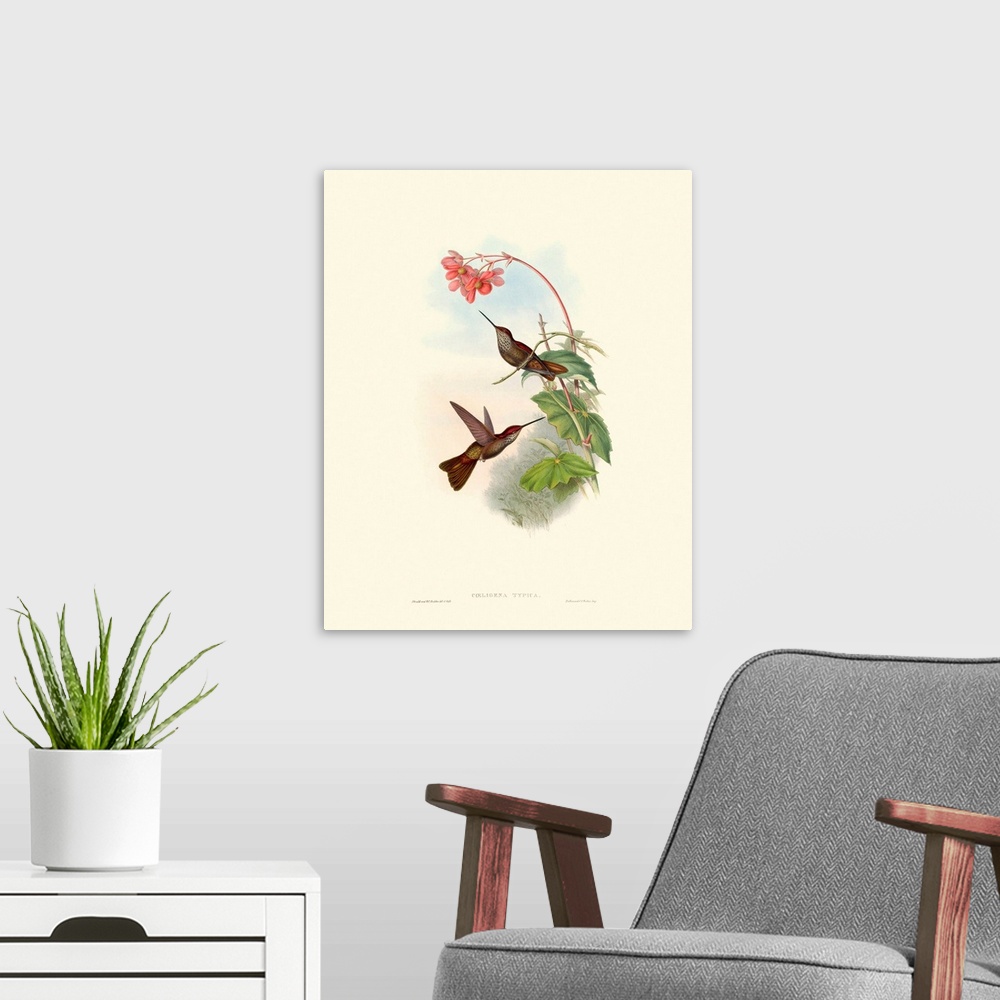 A modern room featuring Hummingbird Delight XI