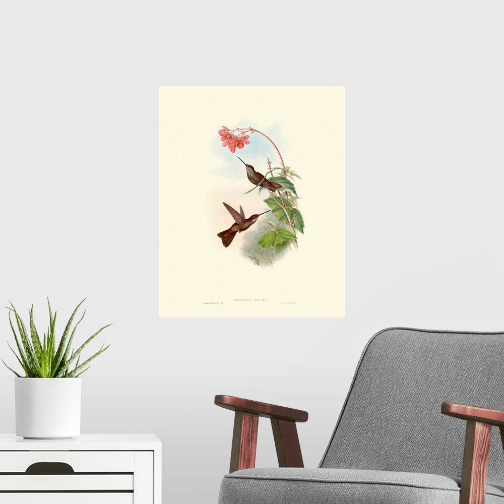 A modern room featuring Hummingbird Delight XI
