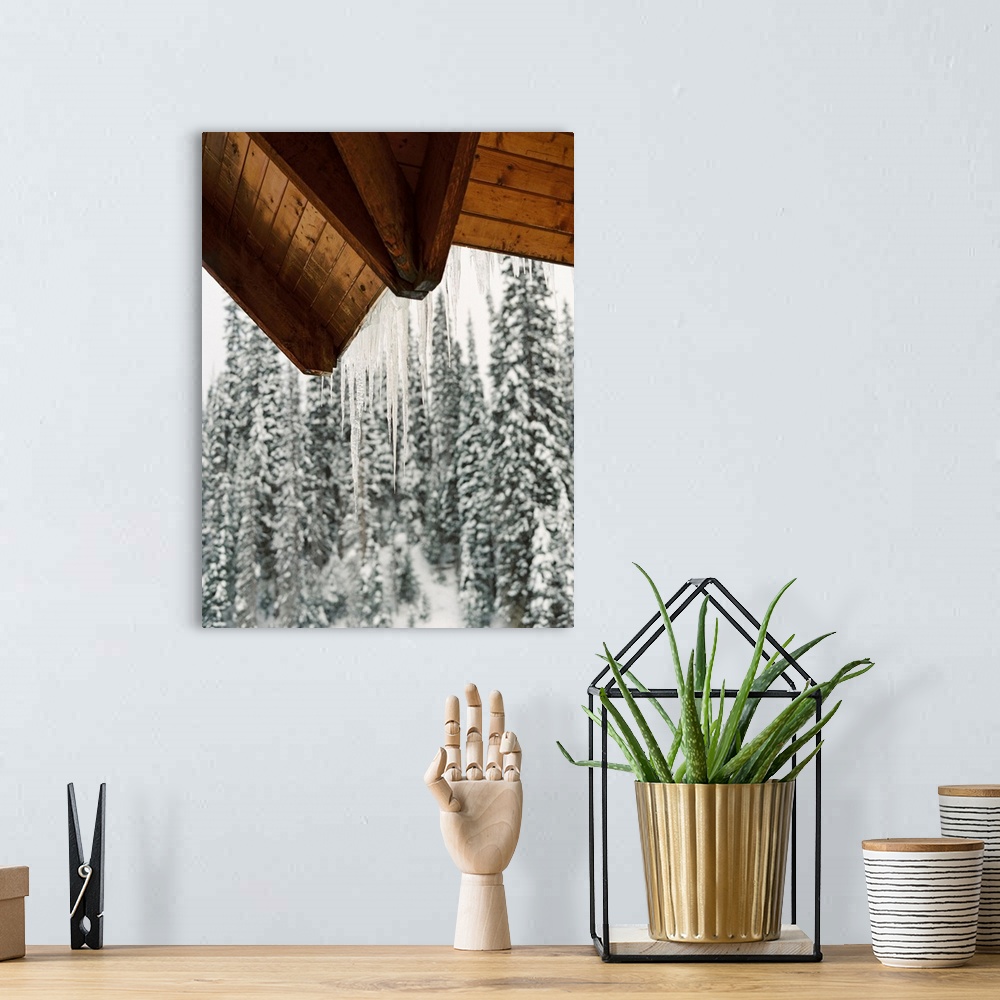 A bohemian room featuring Photograph of icicles hanging from the eaves of a cabin, Emerald Lake Lodge, Banff, Canada