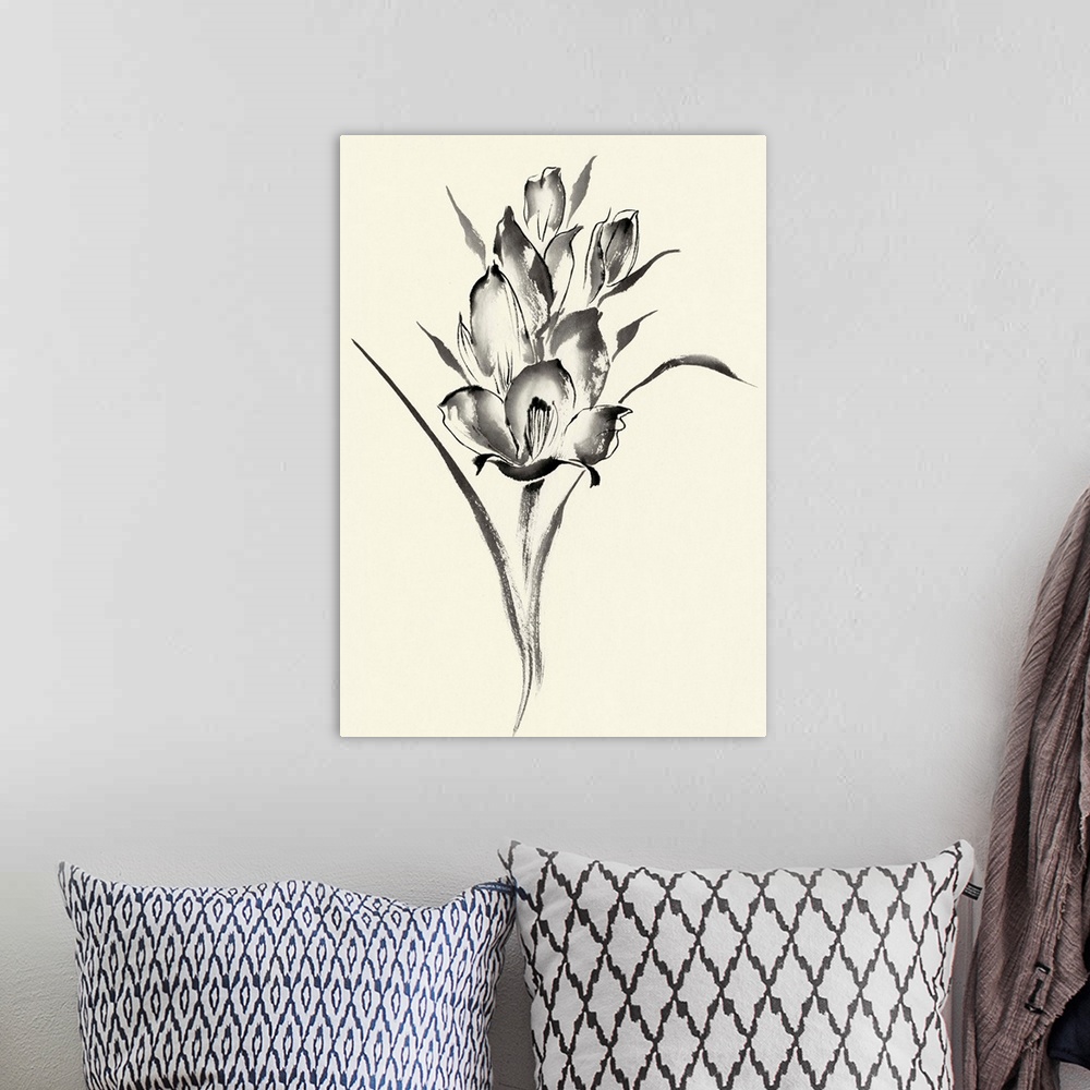 A bohemian room featuring Ink Wash Floral II - Gladiolus