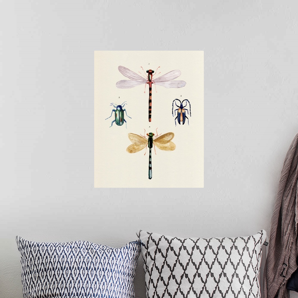 A bohemian room featuring Insect Varieties I