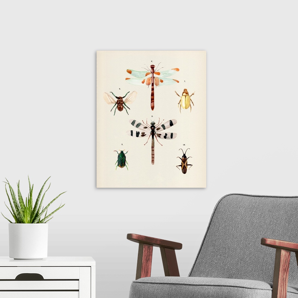 A modern room featuring Insect Varieties II
