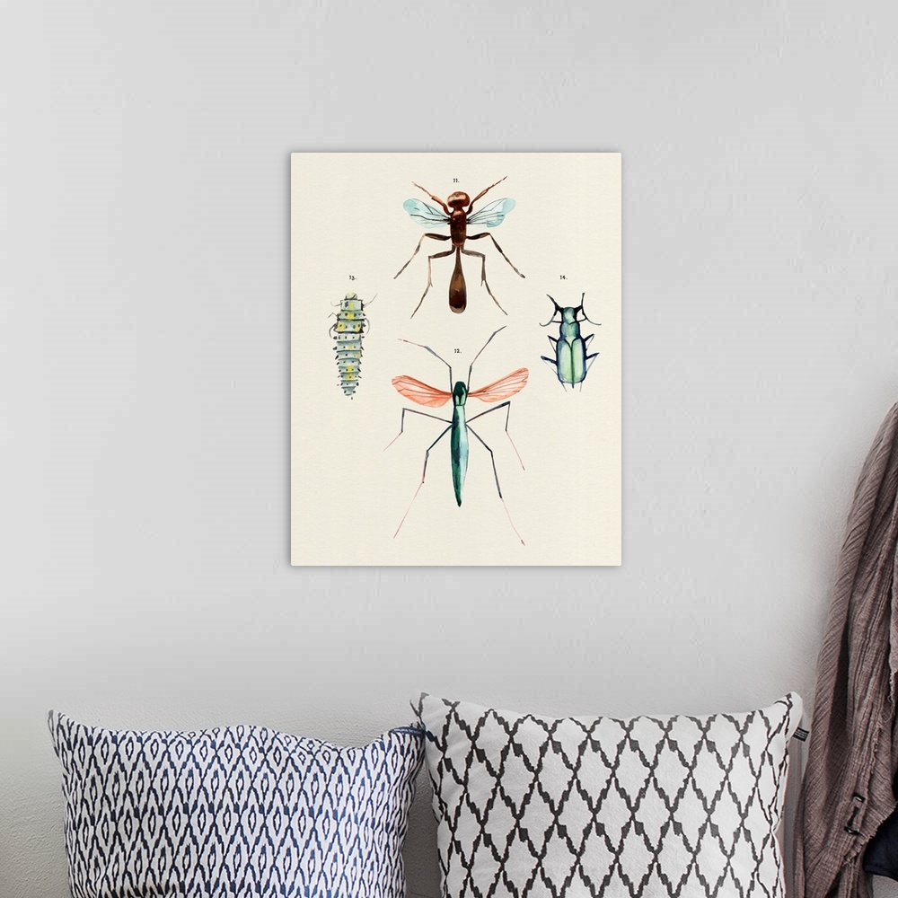 A bohemian room featuring Insect Varieties III