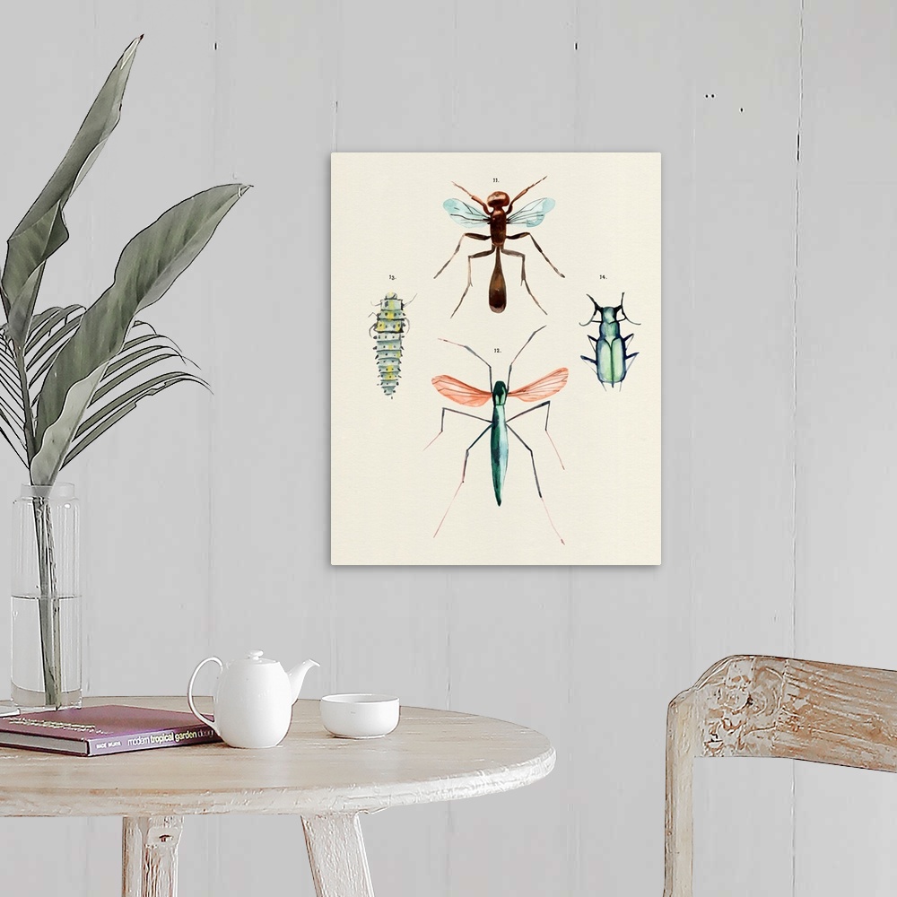 A farmhouse room featuring Insect Varieties III