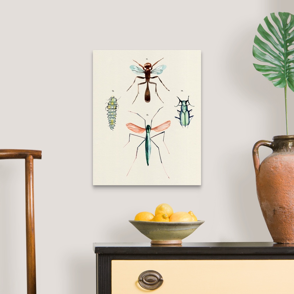 A traditional room featuring Insect Varieties III
