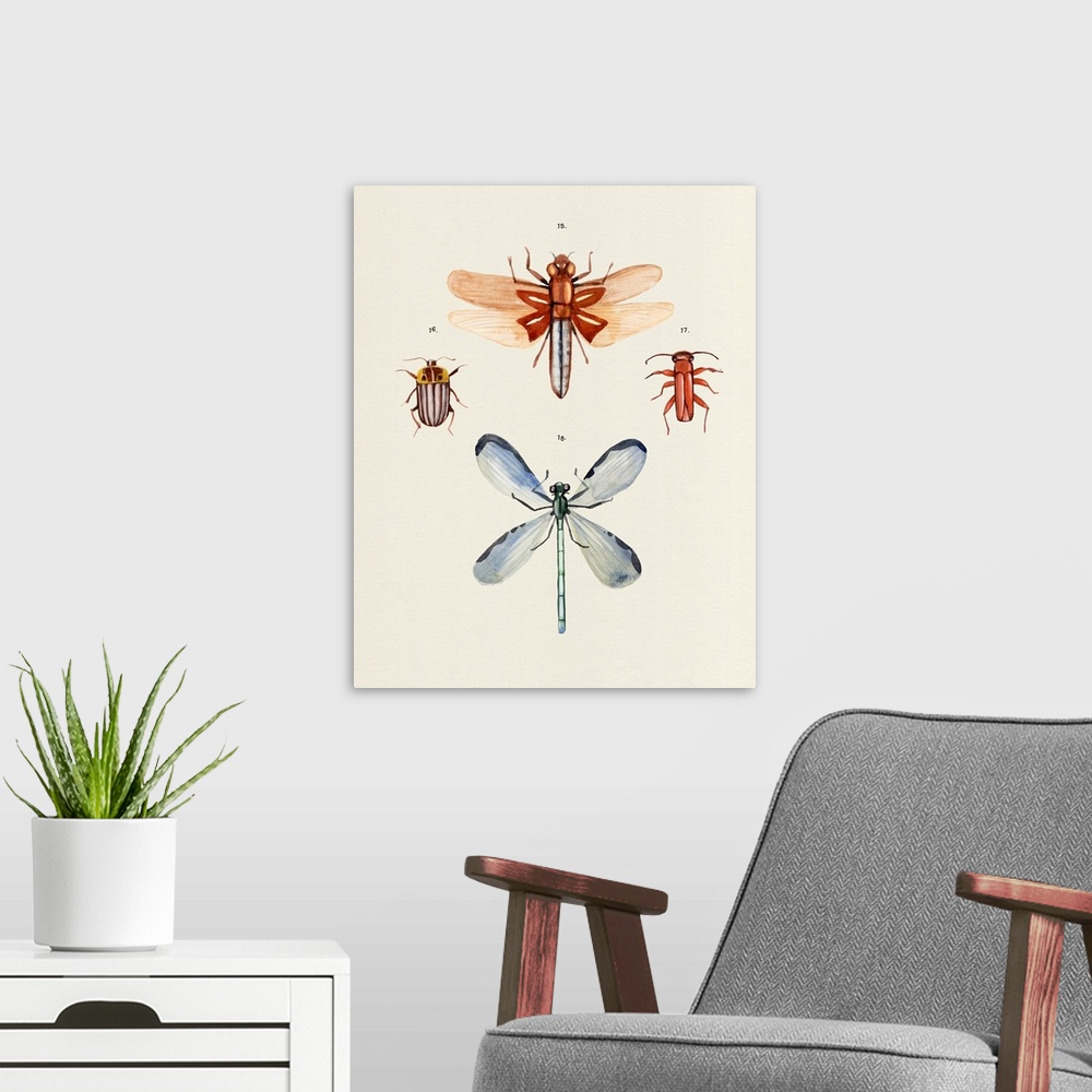 A modern room featuring Insect Varieties IV