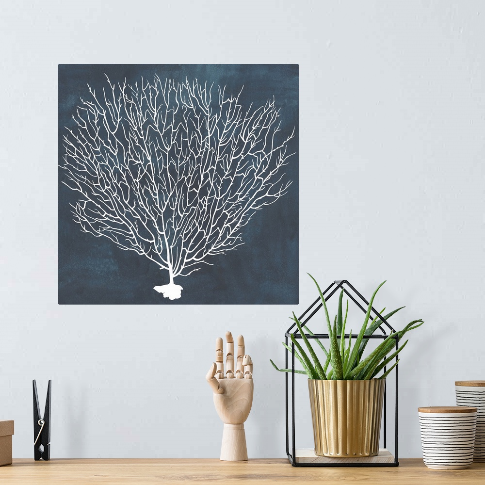 A bohemian room featuring Contemporary nautical themed artwork of a sea fan in white against a dark navy blue background.
