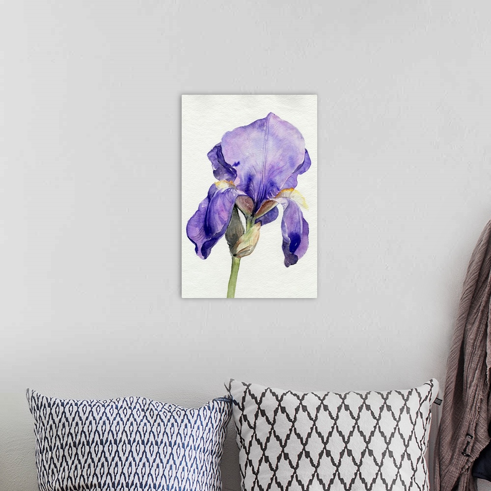 A bohemian room featuring Iris In Bloom I