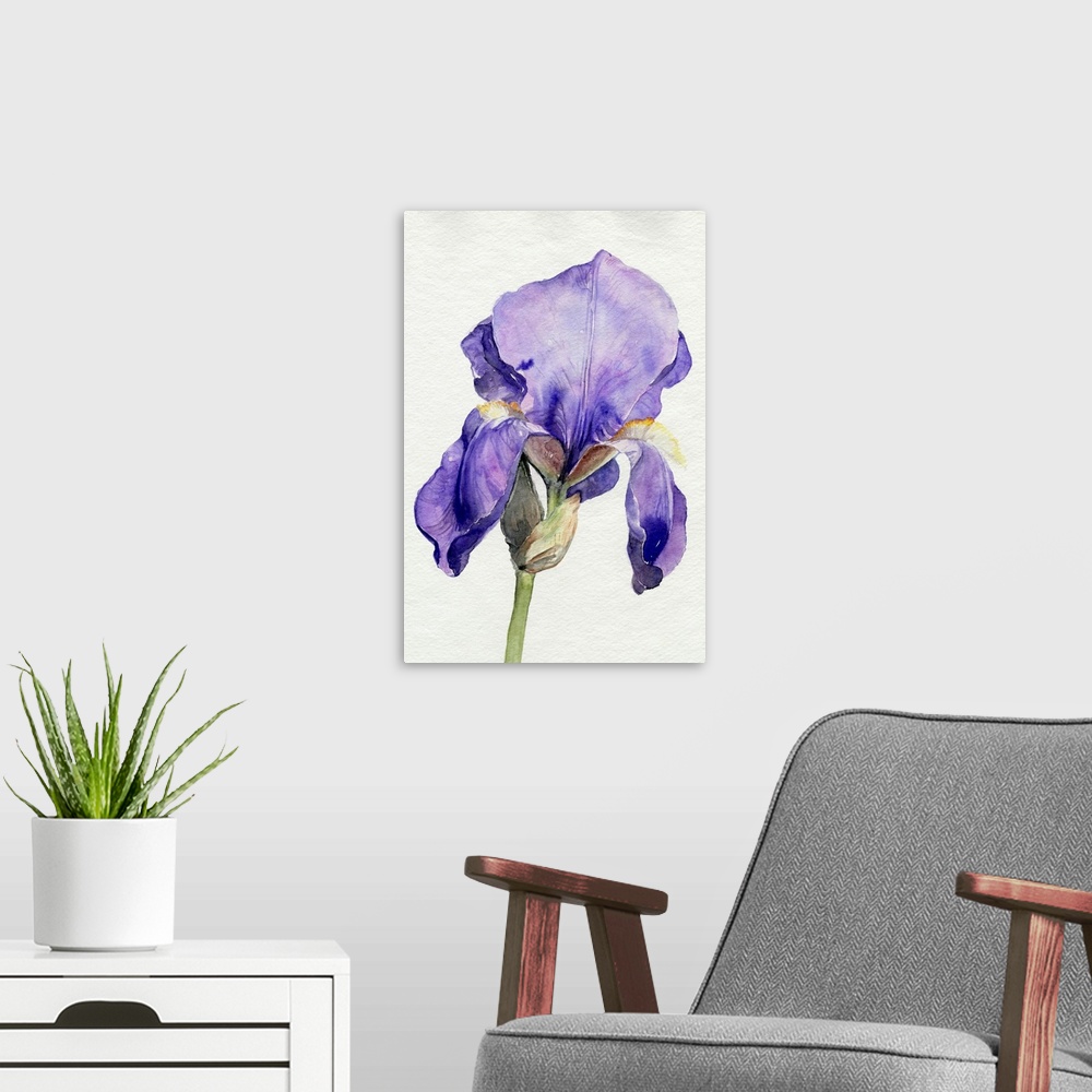 A modern room featuring Iris In Bloom I