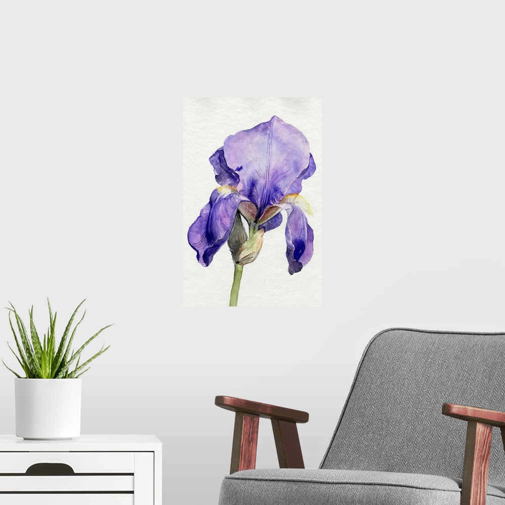 A modern room featuring Iris In Bloom I