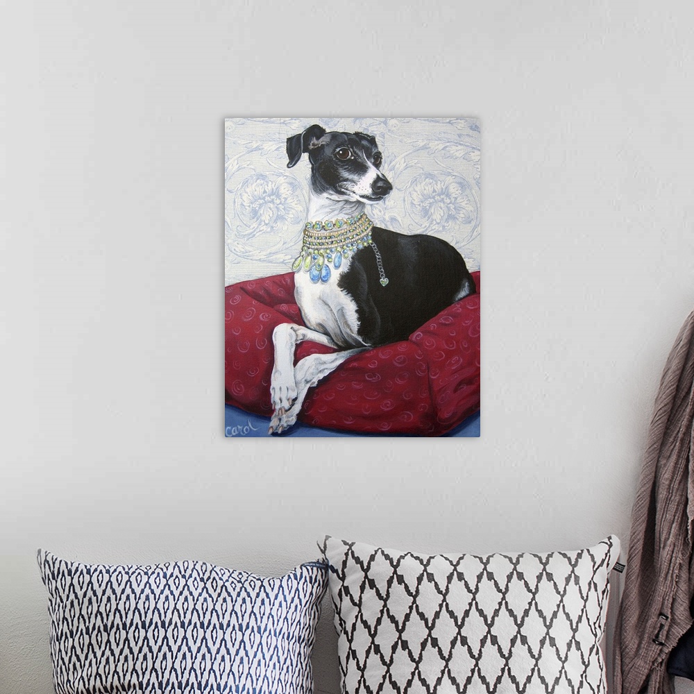 A bohemian room featuring Italian Greyhound on Red