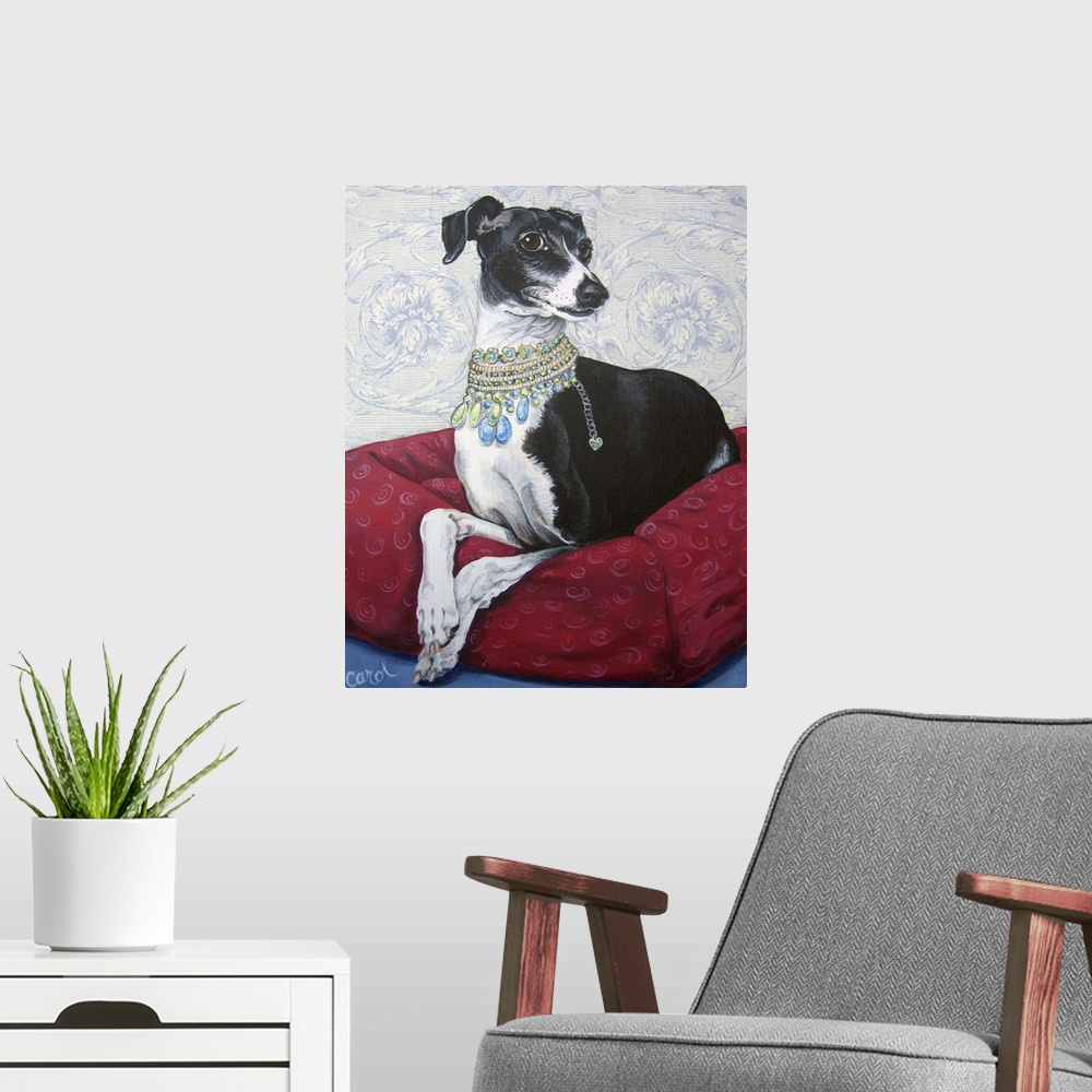 A modern room featuring Italian Greyhound on Red