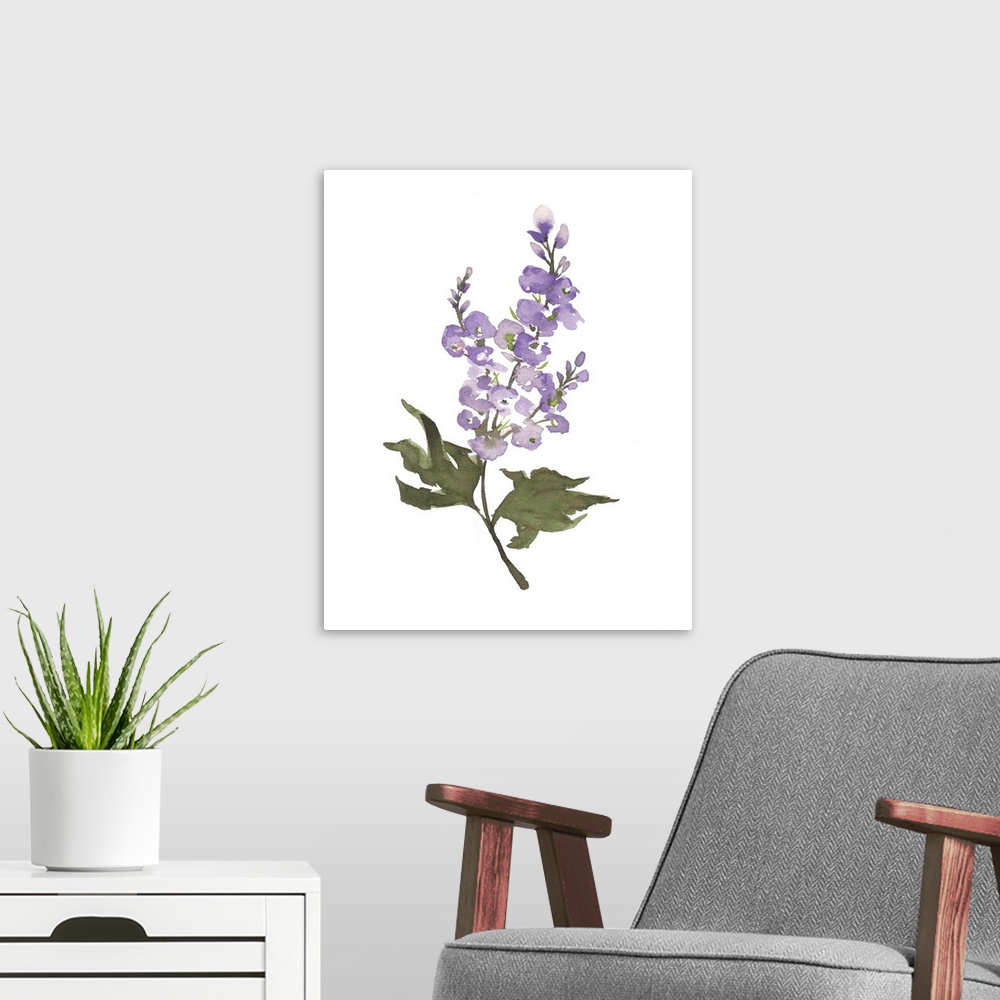 A modern room featuring July Larkspur