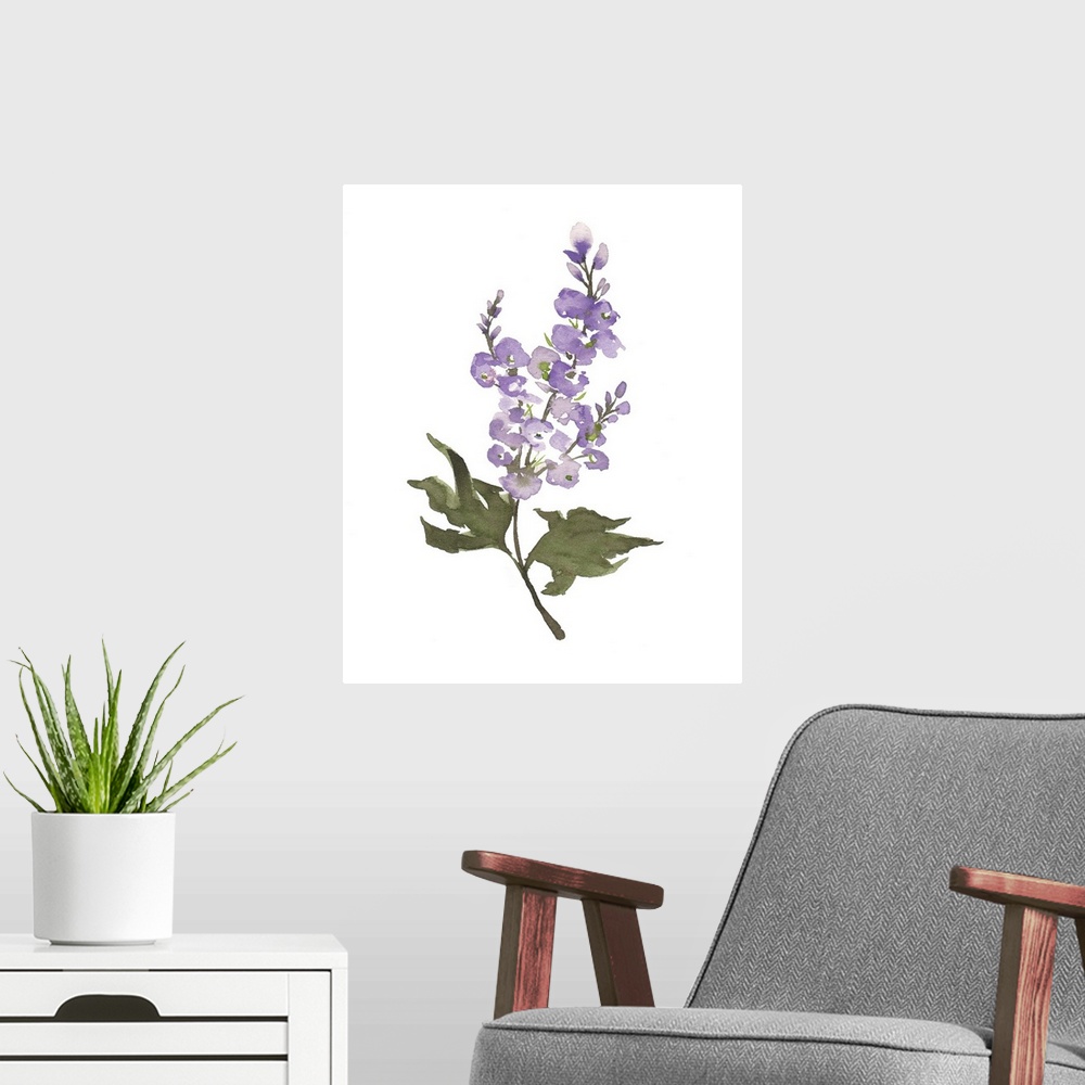 A modern room featuring July Larkspur