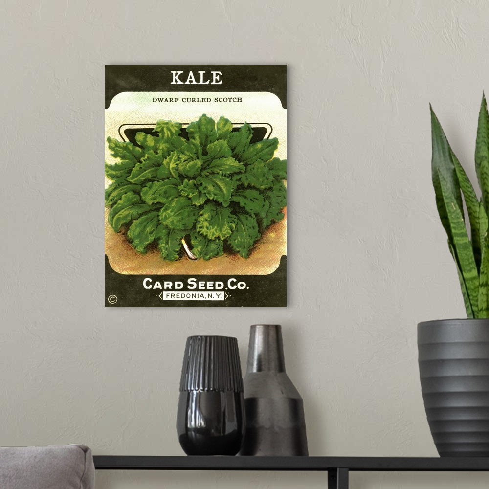 A modern room featuring Kale