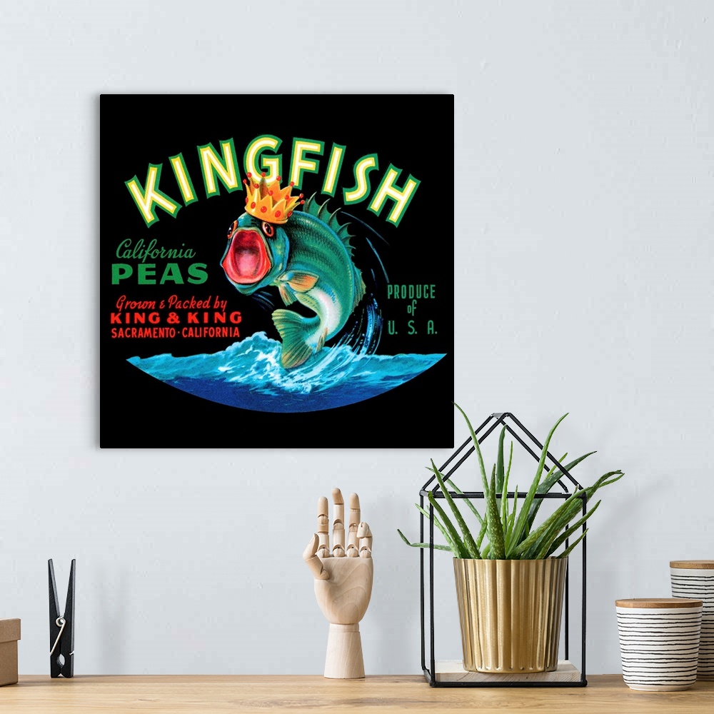 A bohemian room featuring Kingfish