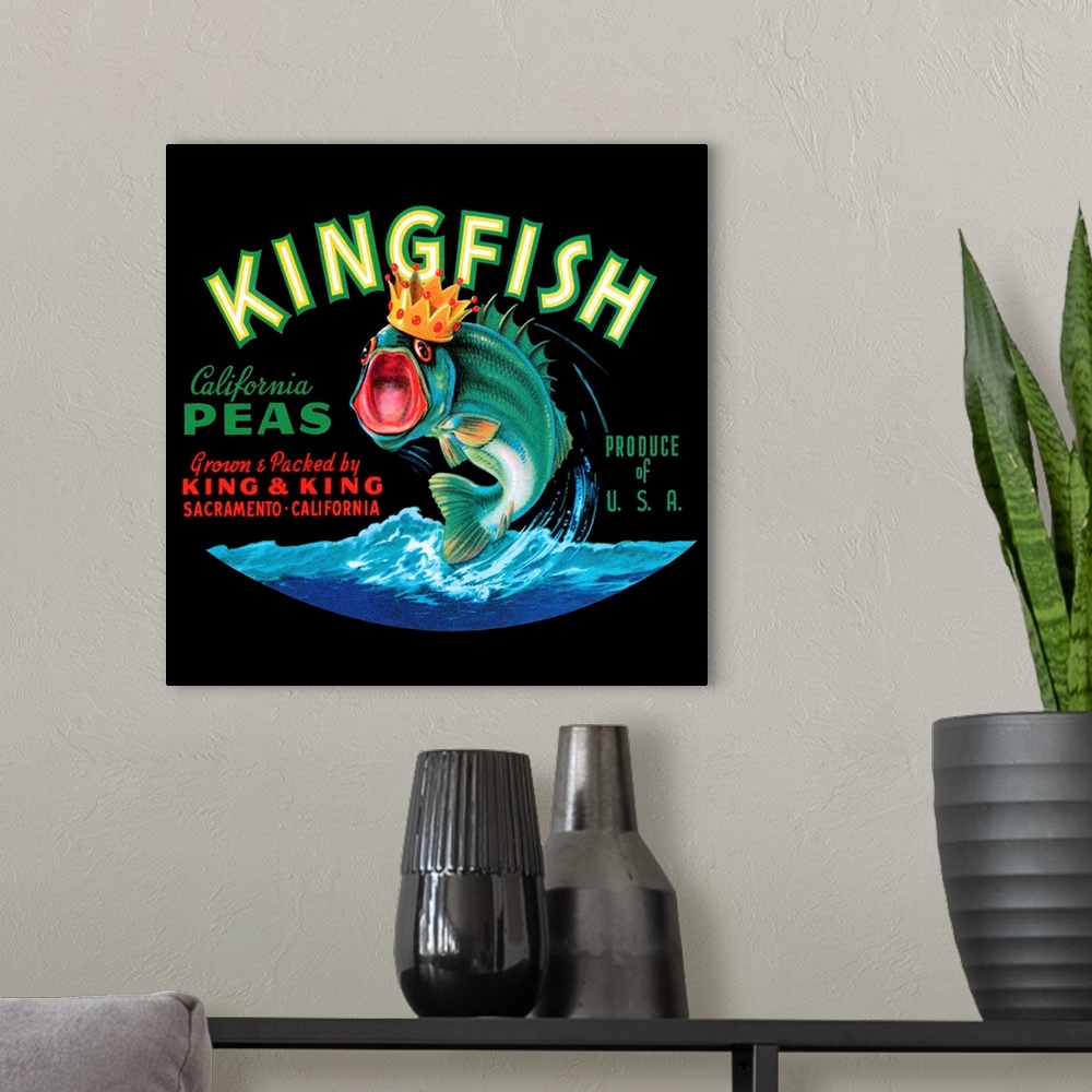 A modern room featuring Kingfish