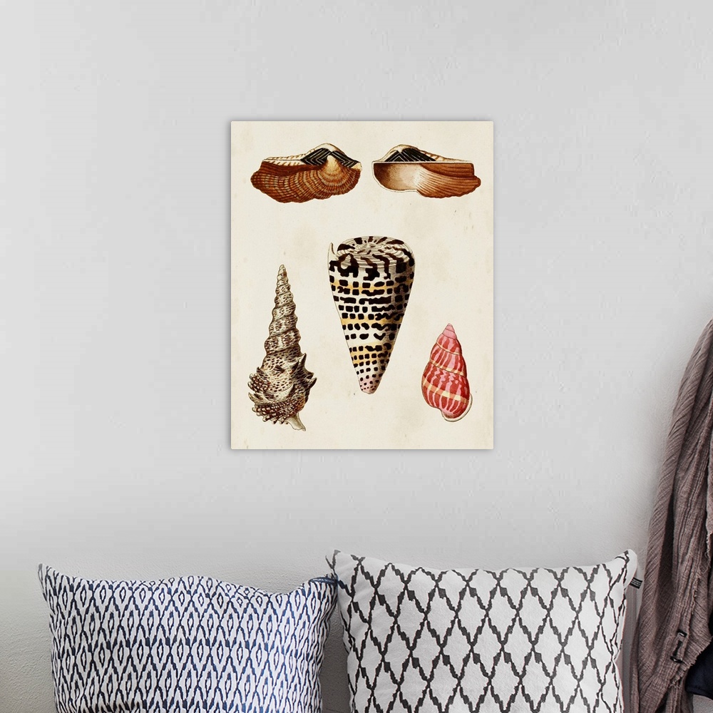 A bohemian room featuring Knorr Shells III