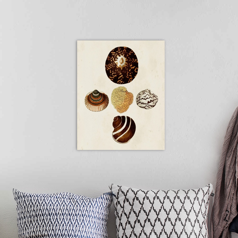 A bohemian room featuring Knorr Shells V