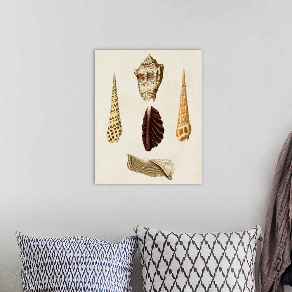 A bohemian room featuring Knorr Shells VI