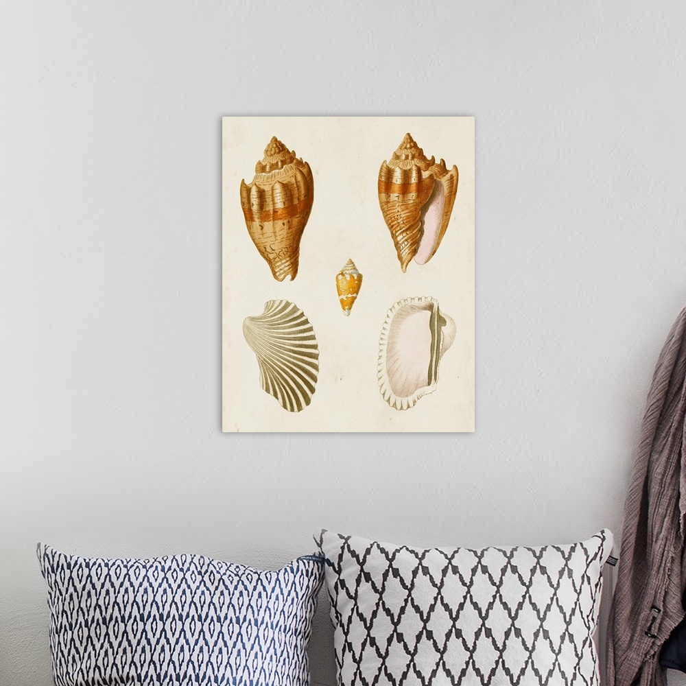 A bohemian room featuring Knorr Shells VII