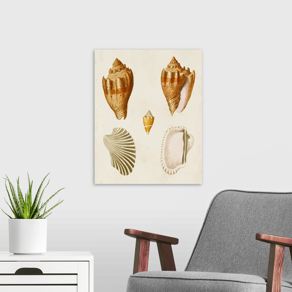 A modern room featuring Knorr Shells VII