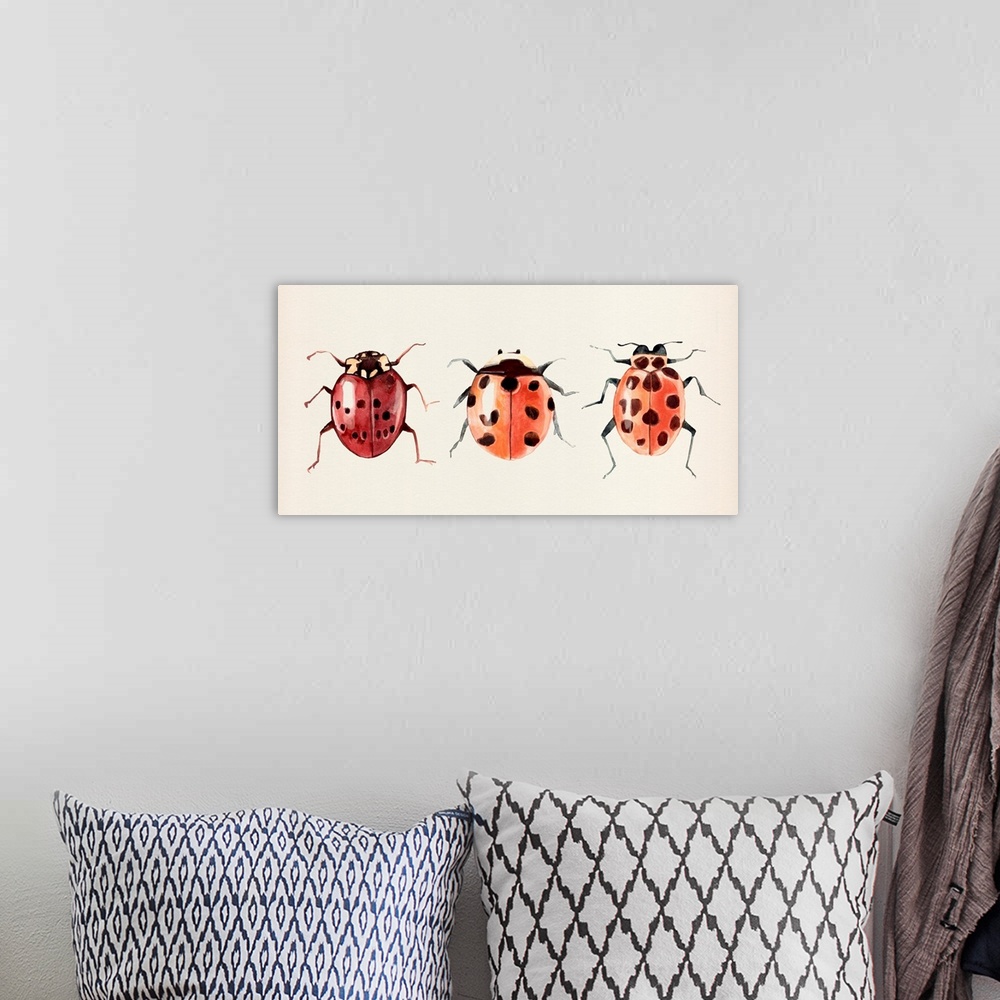 A bohemian room featuring Ladybug Display I