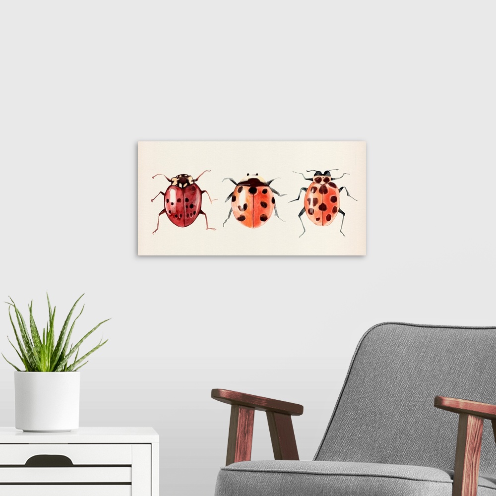 A modern room featuring Ladybug Display I