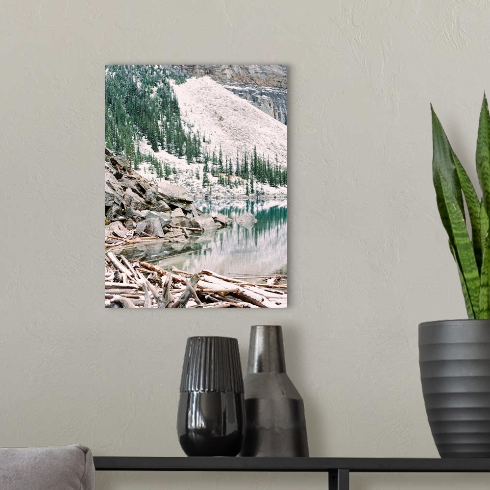 A modern room featuring Photograph of driftwood on the shore of Moraine Lake, Banff, Canada.
