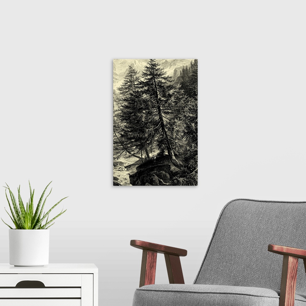 A modern room featuring Larch Tree