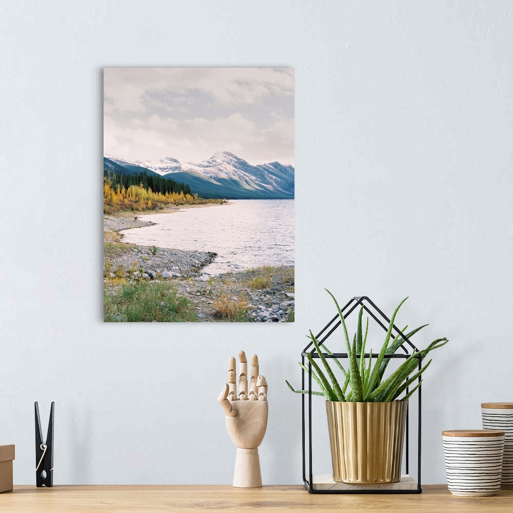 A bohemian room featuring Photograph of a pebbly beach with larch trees and snow covered mountains in the distance, Banff, ...
