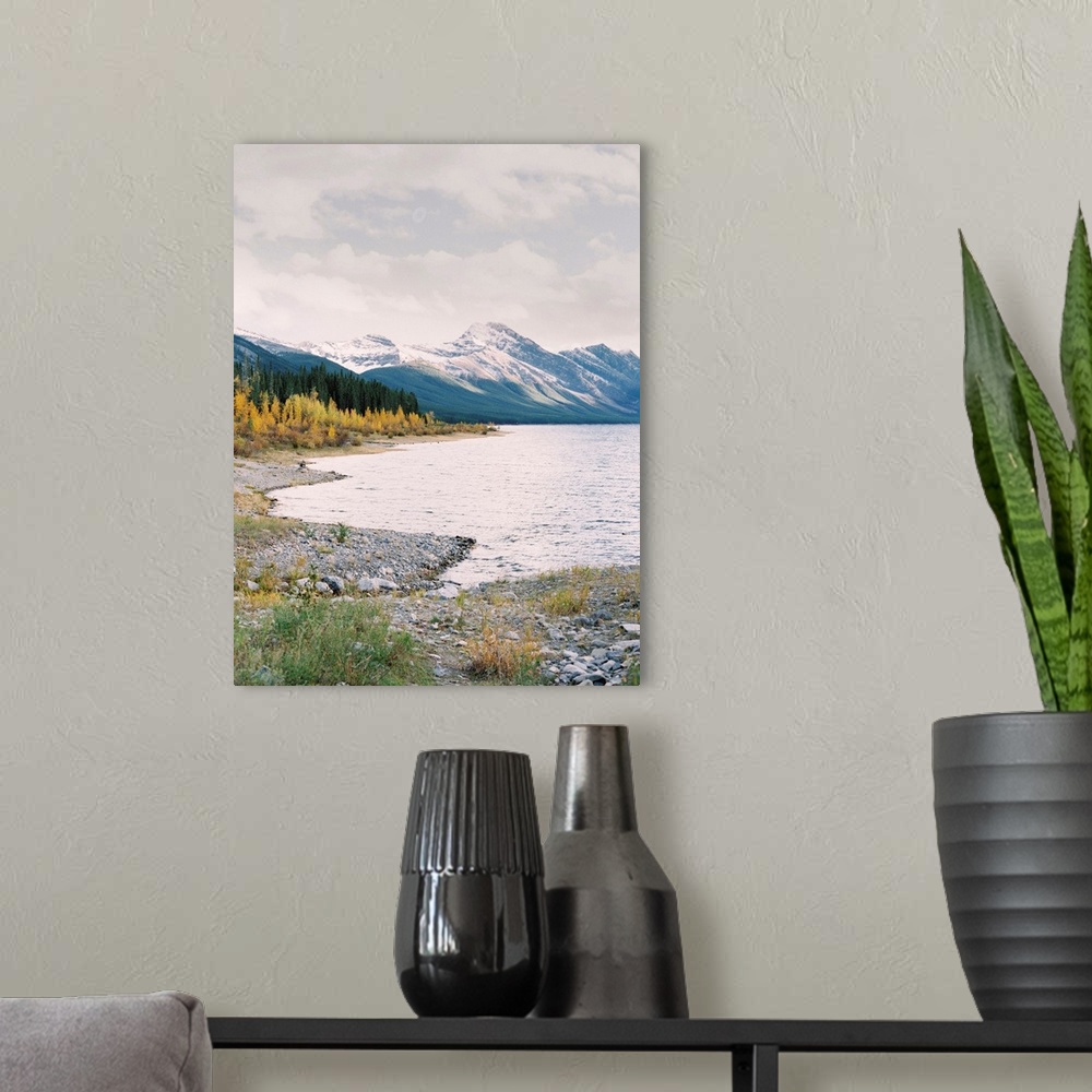 A modern room featuring Photograph of a pebbly beach with larch trees and snow covered mountains in the distance, Banff, ...