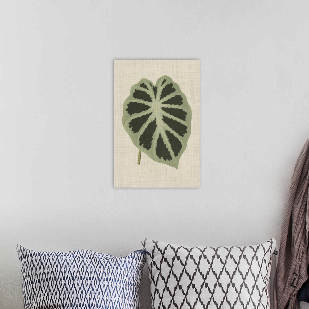 A bohemian room featuring This decorative artwork features an illustrative leaf with dark green spots over a neutral linen ...