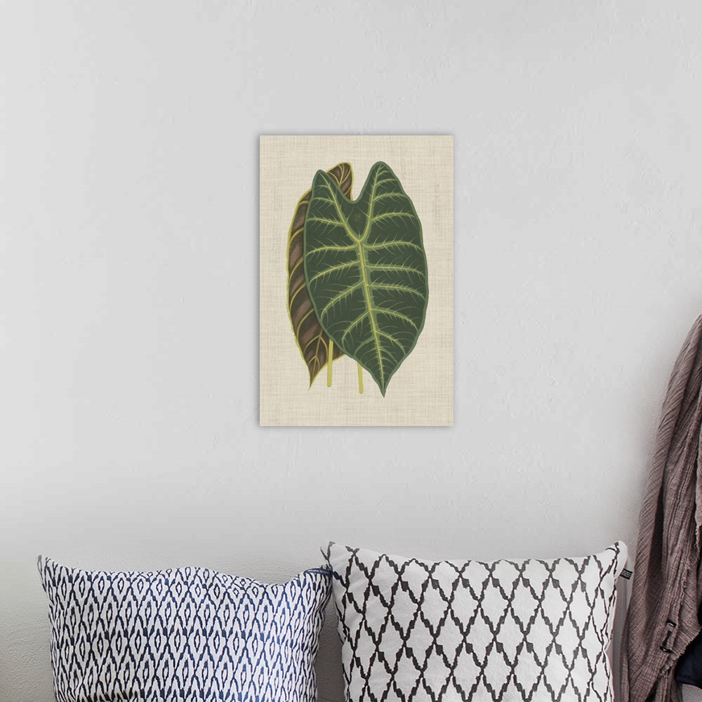 A bohemian room featuring This decorative artwork features an illustrated front and back view of a leaf with light green ve...