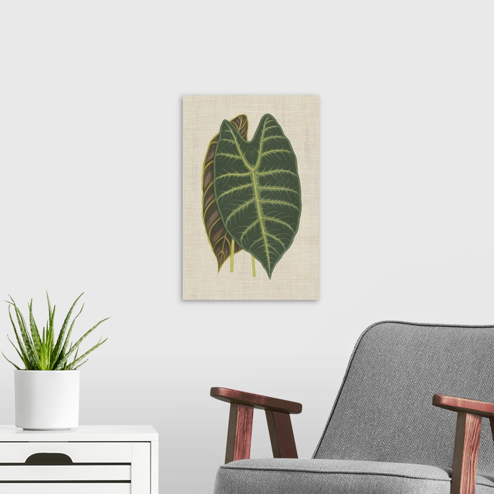 A modern room featuring This decorative artwork features an illustrated front and back view of a leaf with light green ve...