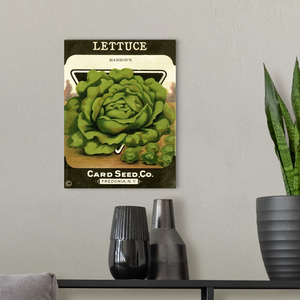 A modern room featuring Lettuce