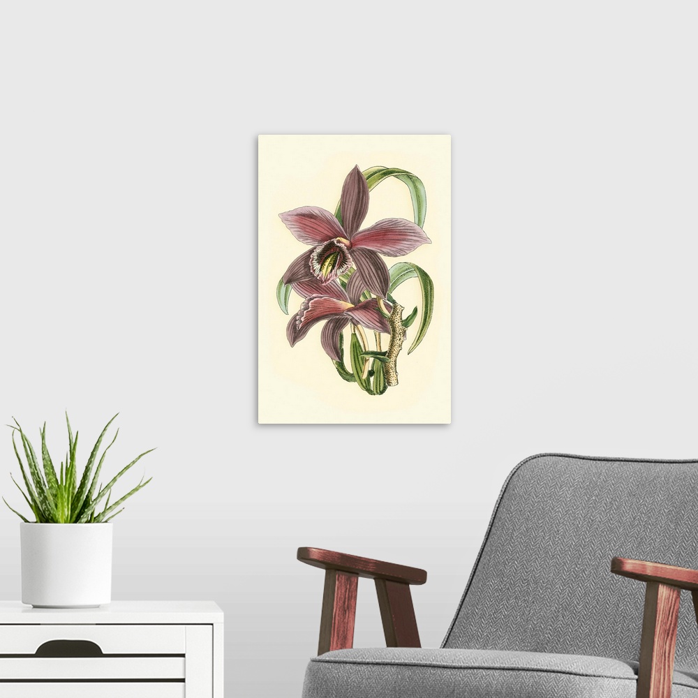 A modern room featuring Lilac Orchid I