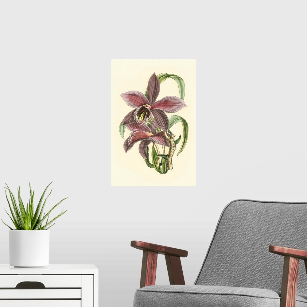 A modern room featuring Lilac Orchid I