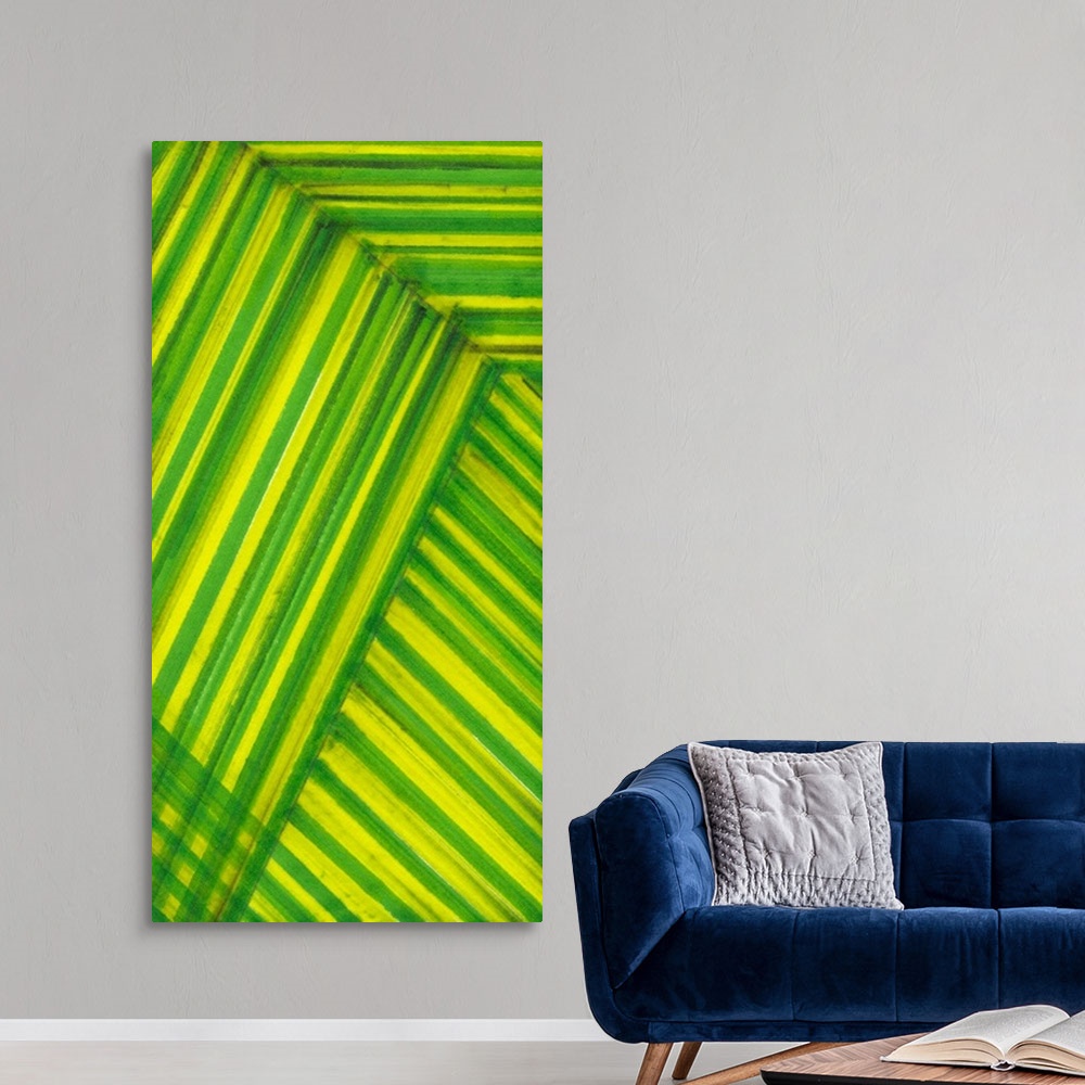 A modern room featuring Line Study Green