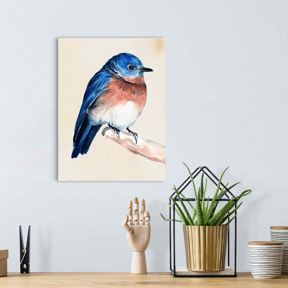 A bohemian room featuring Contemporary artwork of a garden bird perched on a branch against a neutral background.